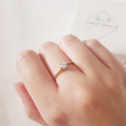 53eed779179950d64c3a81015e10b889